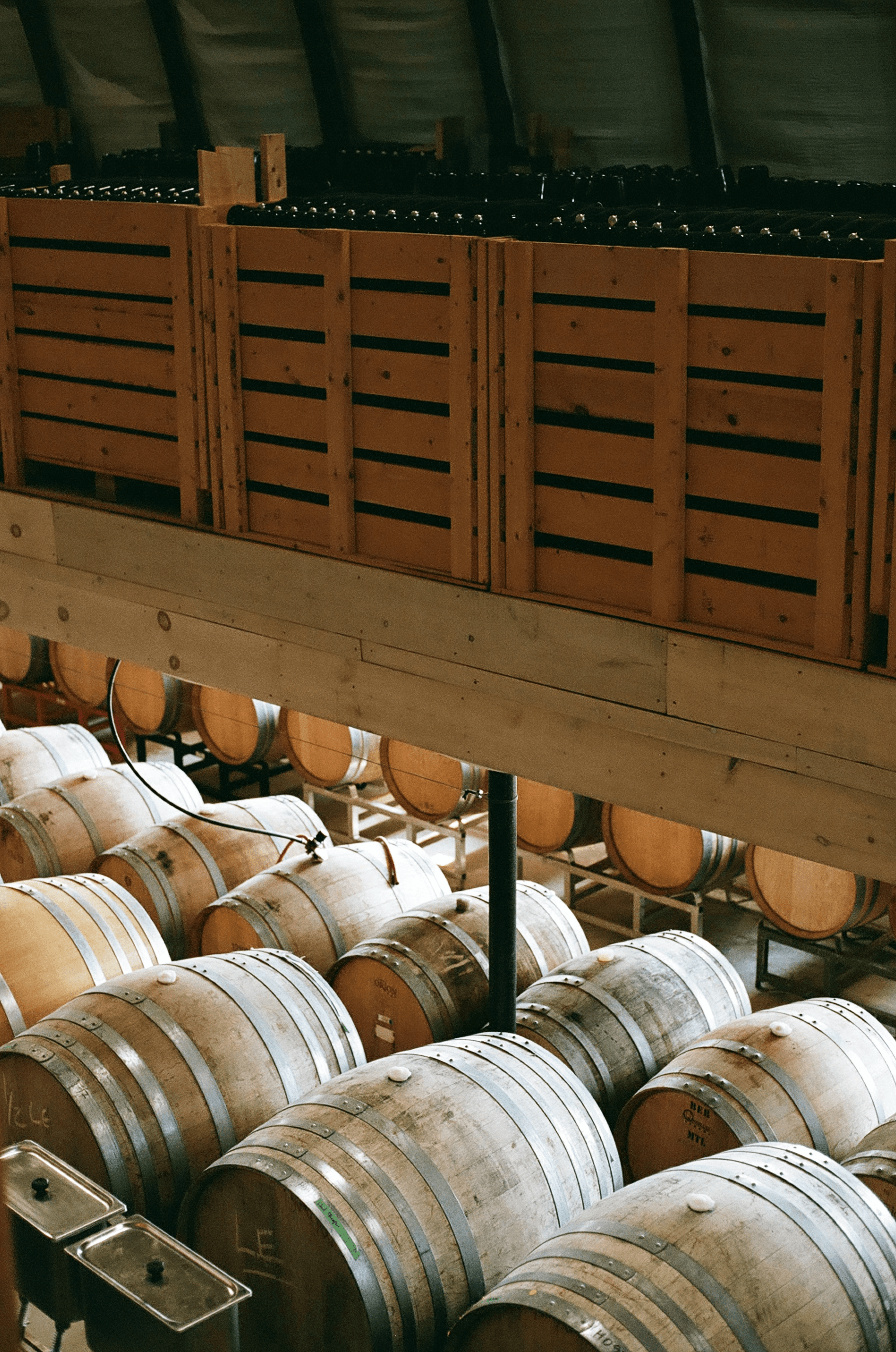 Barrel room at a Prince Edward County winery